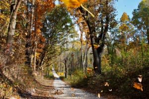 Indiana Dunes Country is the perfect place for a fall drive or hike.