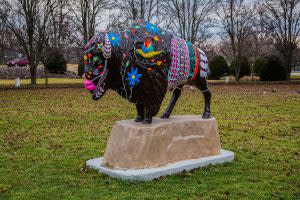 Bison-Tennial Buffalo - Muncie/Delaware County
