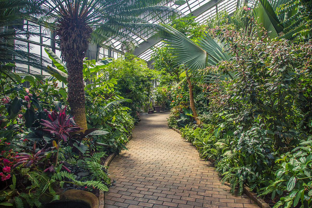 A genuinely tropical oasis.