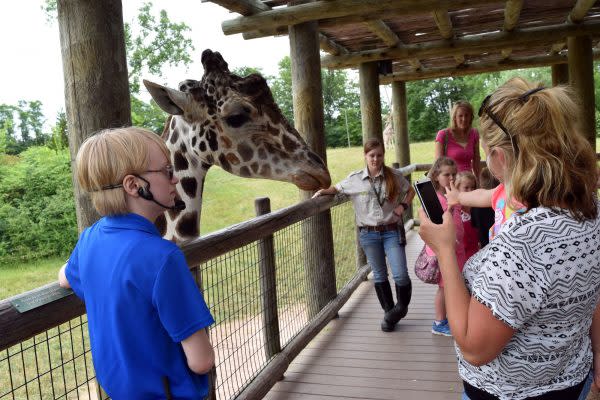giraffe-feedlng-fort-wayne-childrens-zoo-indiana