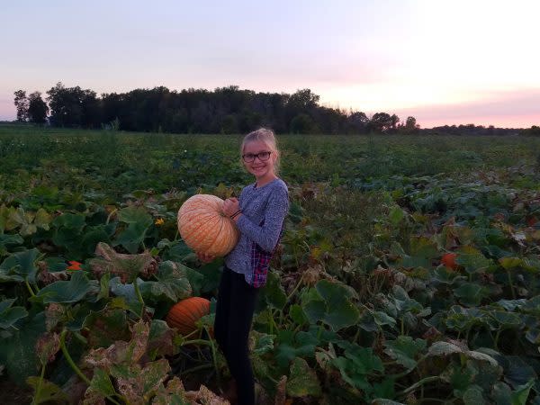 pumpkin-patch-amazing-fall-fun-corn-maze-waterloo