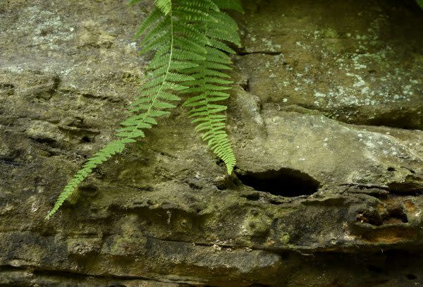 sandstone cliffs natural wonders Indiana