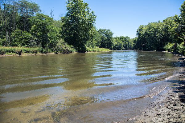 Escape to Indiana's Gem: Tippecanoe River State Park