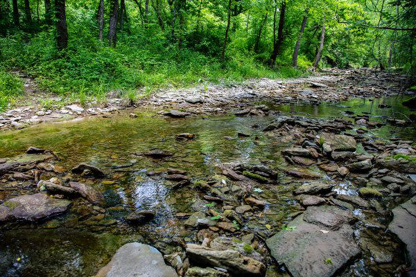 Splinter Ridge Fish and Wildlife Area