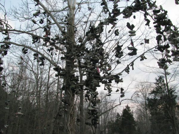 Shoe Tree, Stranger Things Scavenger Hunt