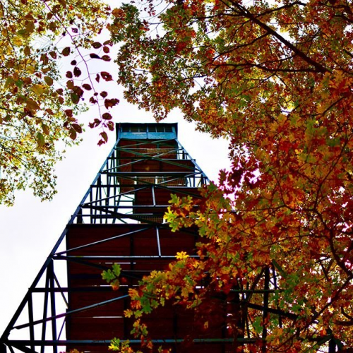 Willow Valley Tower, Martin State Forest, Indiana Fire Towers