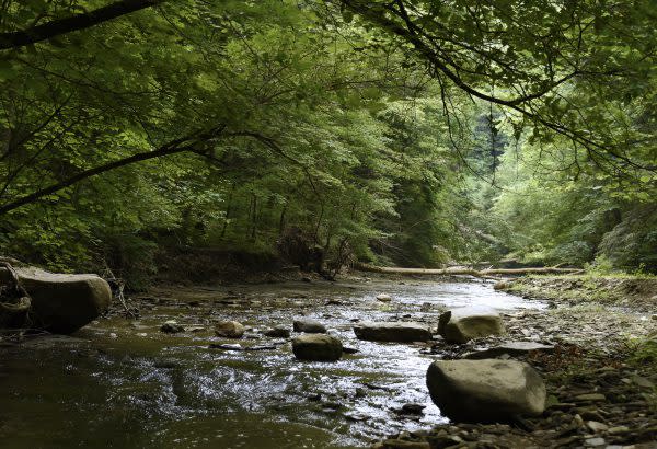 Pine Hills Nature Preserve, Shades State Park