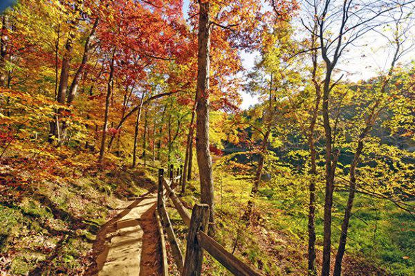 Best Indiana Hiking Trails, Fire Tower Trail