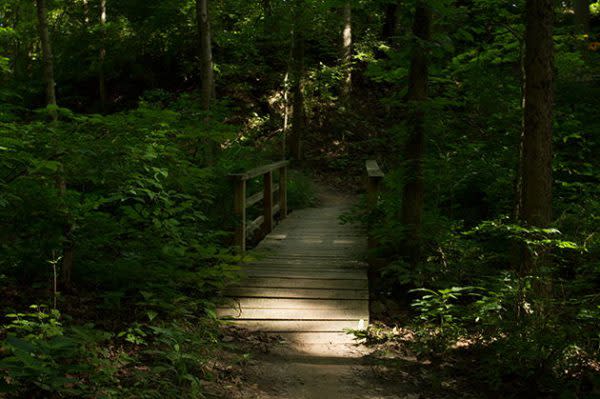 Best Indiana Hiking Trails, Lawrence Creek Trail