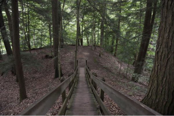 Best Indiana Hiking Trails, Pine Hills Nature Preserve Trail