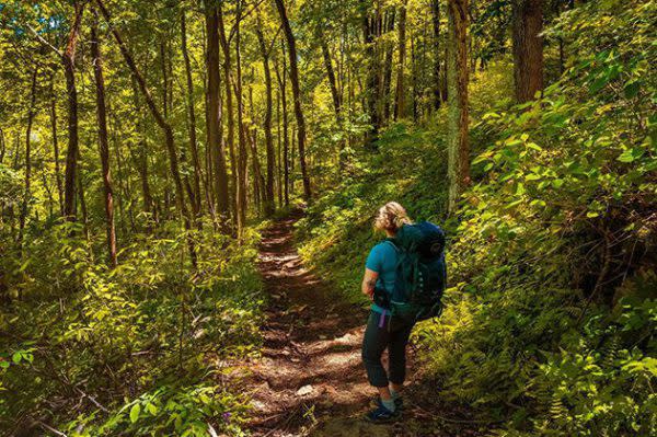 Best Indiana Hiking Trails, Trail 2 at Clifty Falls State Park