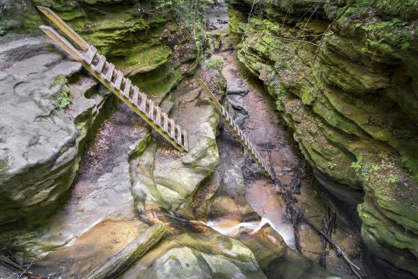 Turkey Run State Park, Ladders Trail, Best of Indiana