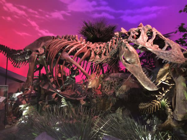 The Children's Museum of Indianapolis, Children's Museums