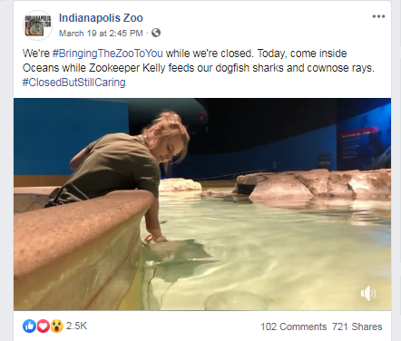 Indianapolis Zoo, Virtual Vacations