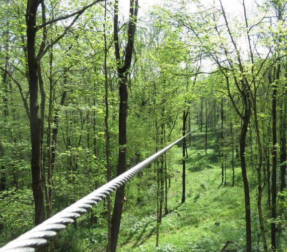 Indiana Zipline Tours, Indiana Zip Lines
