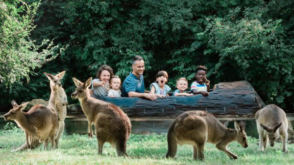 Australian Adventure at the Fort Wayne Children's Zoo, Uniquely Indiana