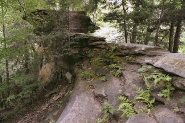 Devil's Backbone at Shades State Park, Natural Wonders in Indiana