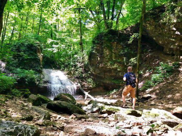 Salamonie River State Forest, Natural Wonders in Indiana