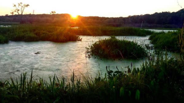 Cowles Bog, Natural Wonders in Indiana