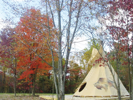 Sleeping Bear Retreat, Unique Sleep