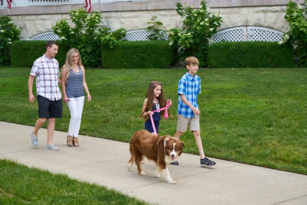 Pet-Friendly Attractions in Indiana