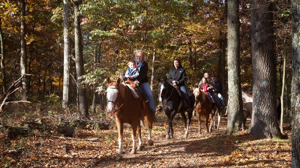 Santa's Stables, Horseback Riding
