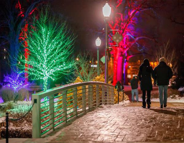 Wellfield Botanic Gardens’ Winter Wonderland Holiday Lights, Holiday Light Displays in Indiana