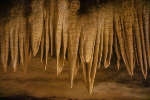 Marengo Cave- National Park