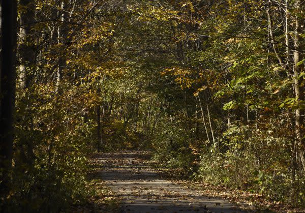 Sugar Creek Trail