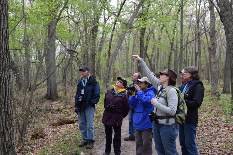 people watching birds in the woods