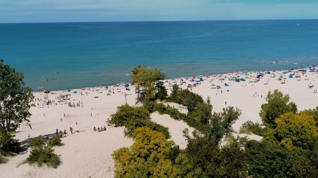 a beach at the indiana dunes