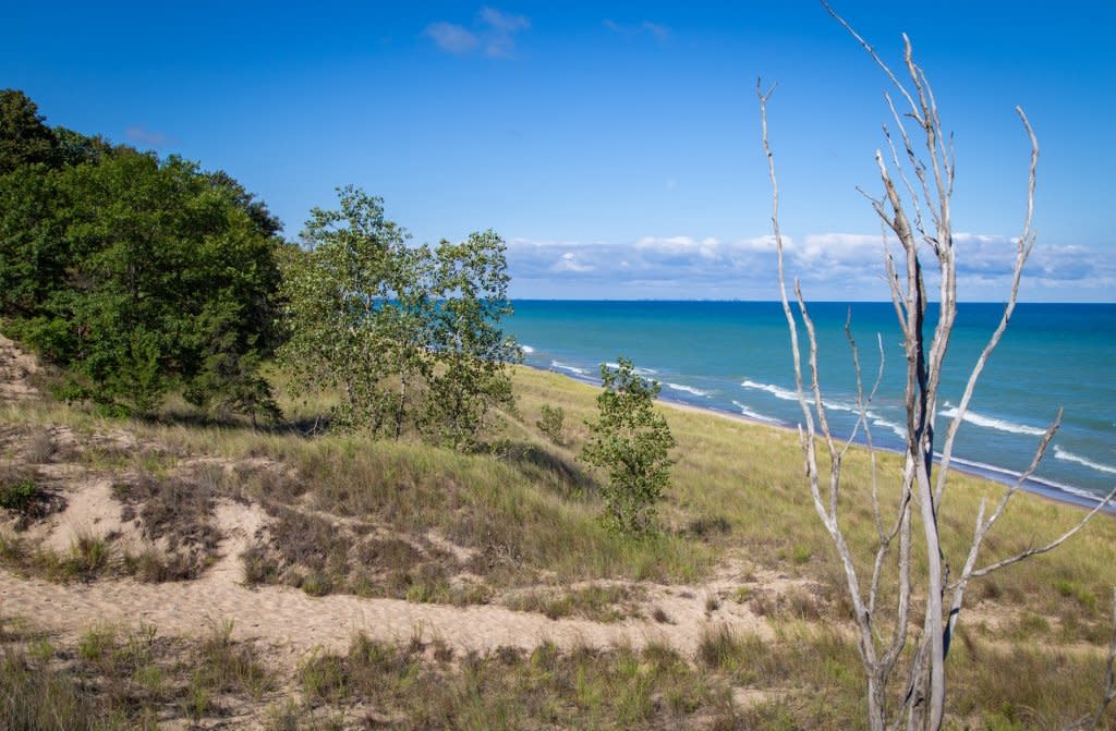 A view of the water from a sandy hill