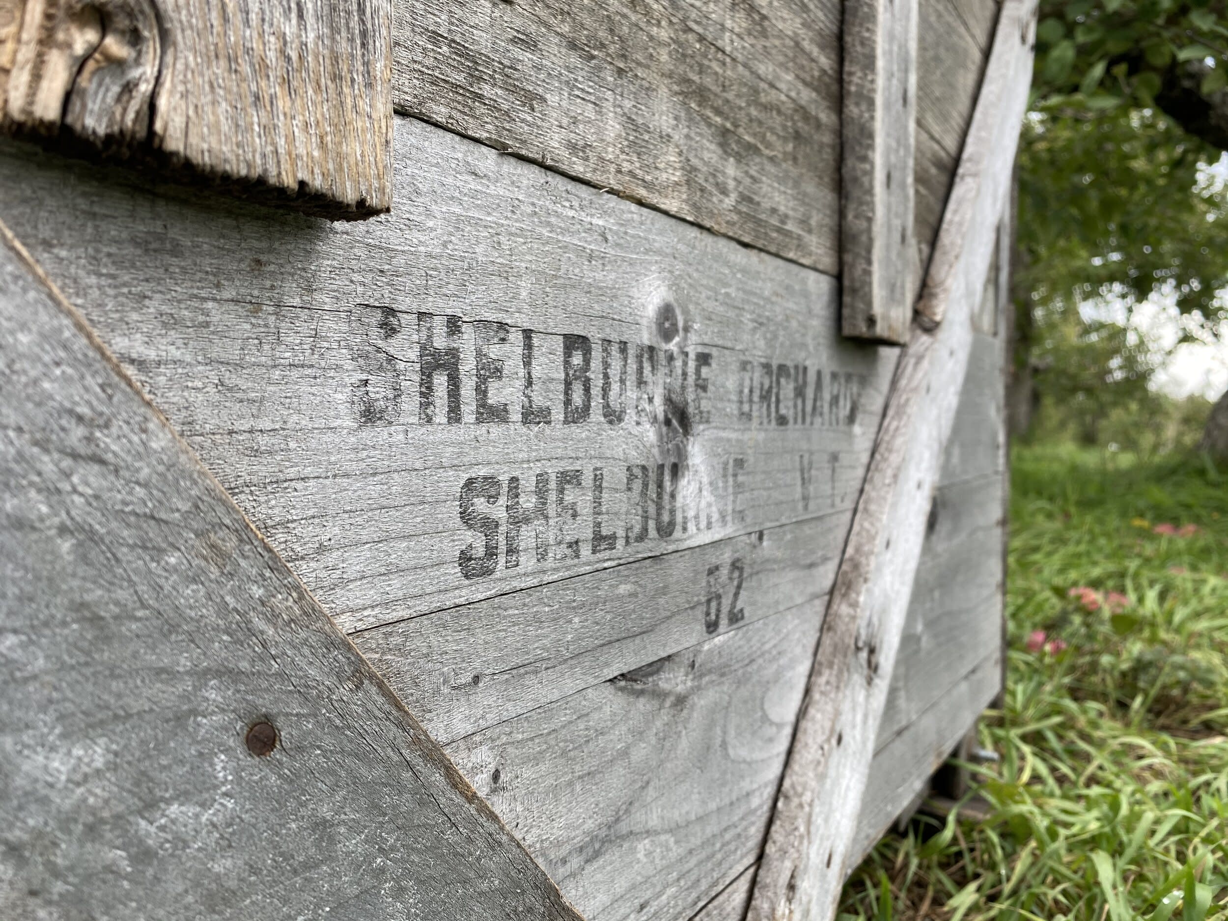Shelburne Orchard