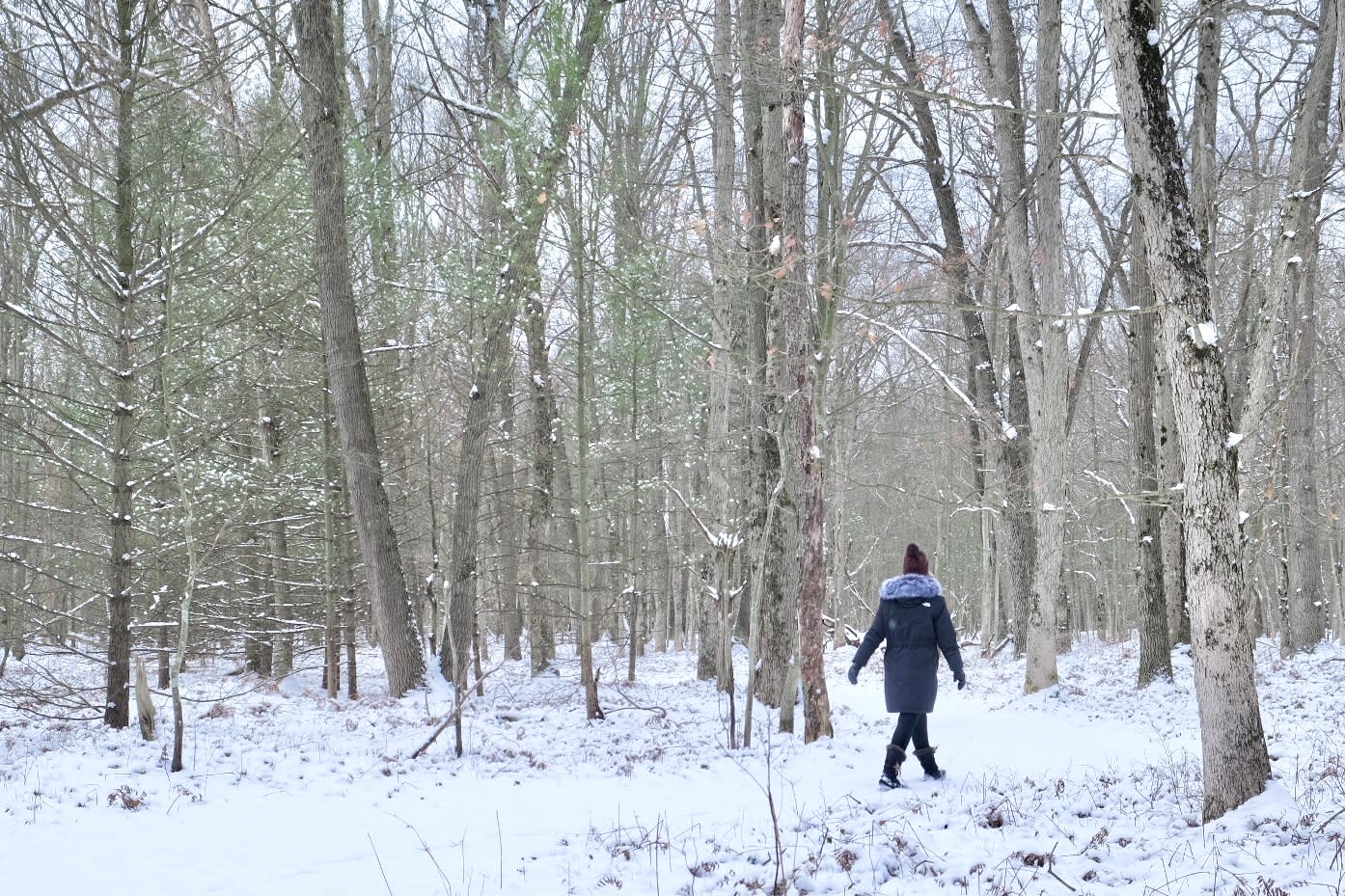 woman walking on snow covered trail through woods