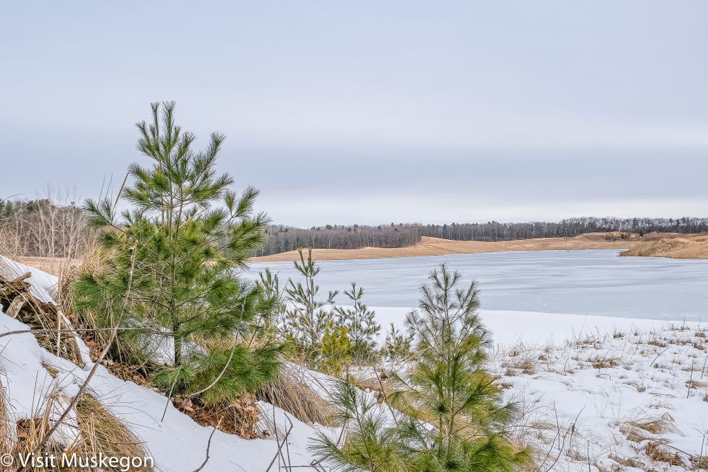 winter scene of small pine trees are in foreground. inland lake is in background 