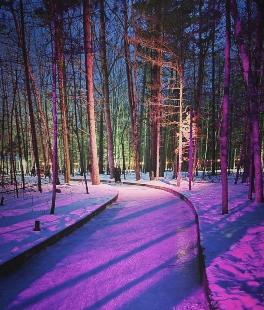 ice skating trail through woods is lit by purple lights