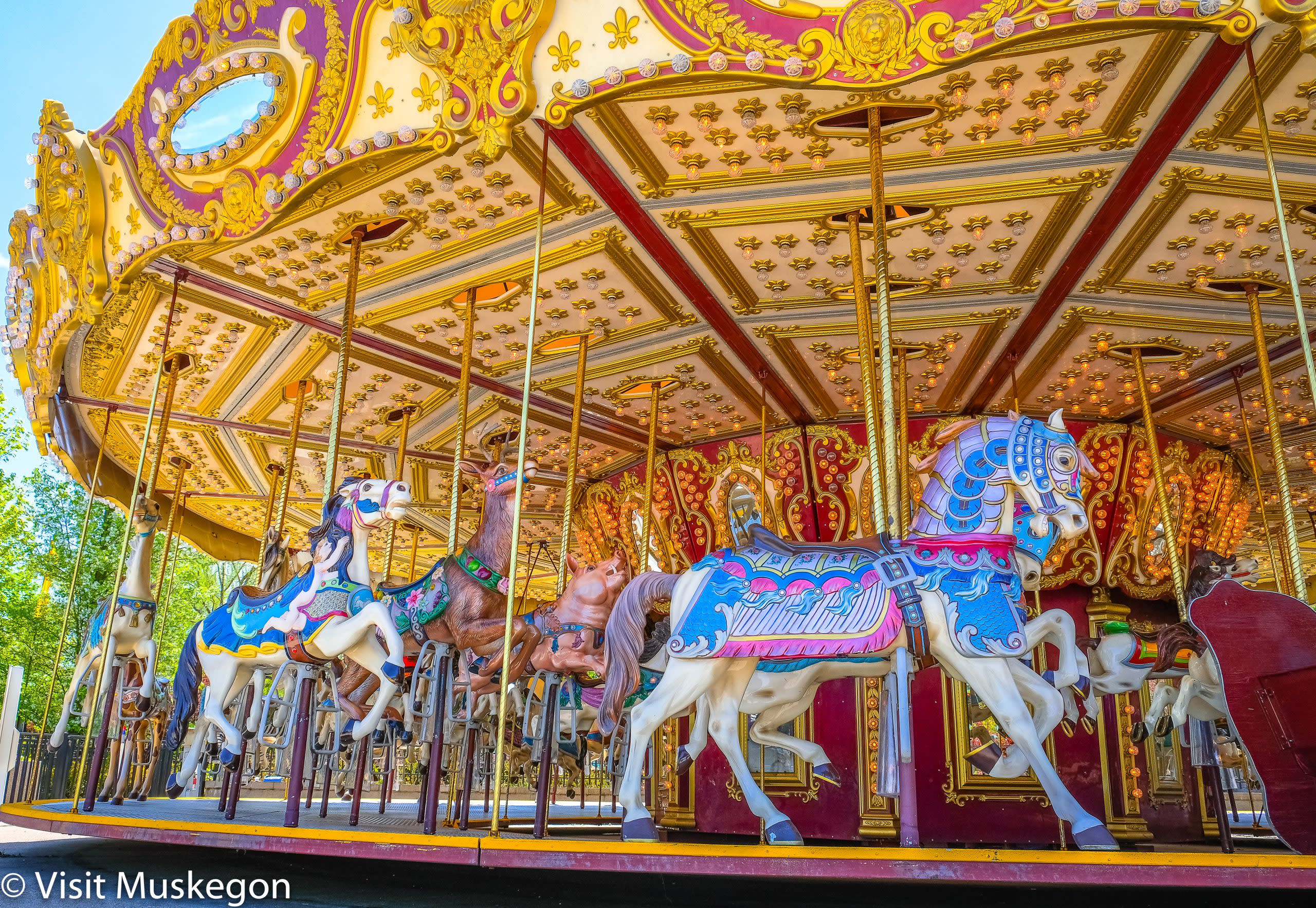 brightly painted horses on illuminated merry go round