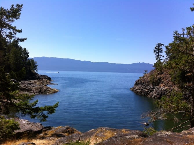 Francis Point view