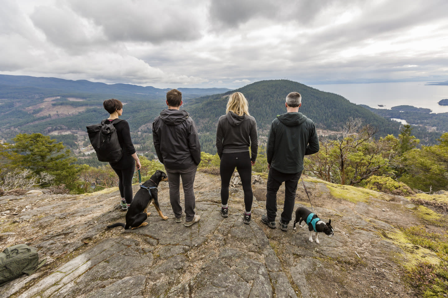 Dog friendly hiking