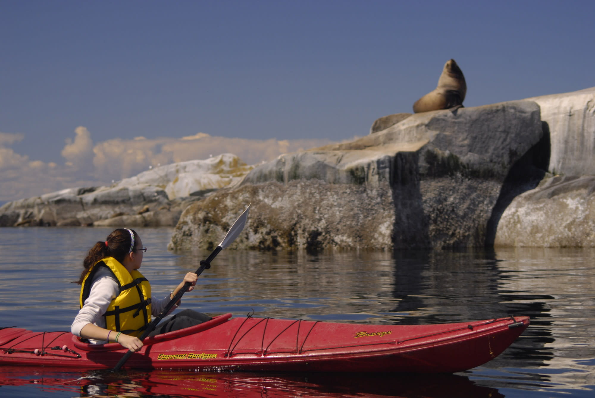 Kayaking and Sea Lion