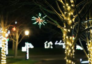 Bright Lights Festival