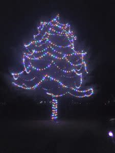 Christmas Tree Lighting at Deepwells
