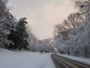 bethpage state park winter