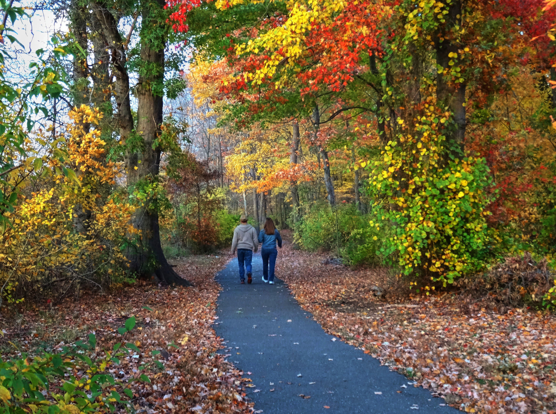 A couple takes a walk down a trail to see Long Island's Fall Foliage