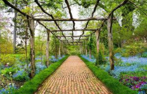 Garden Sanctuaries on Long Island