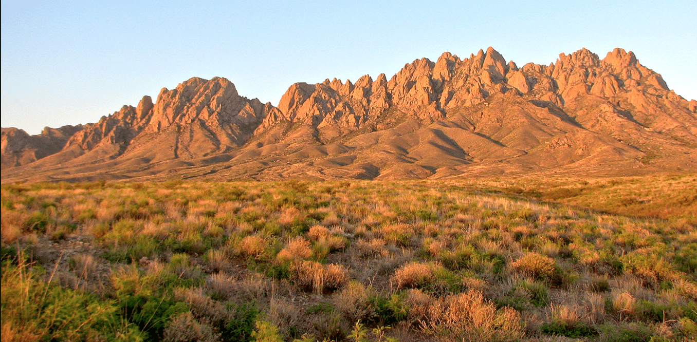 Organ Mountains