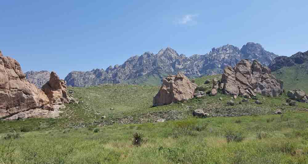 things to do in las cruces