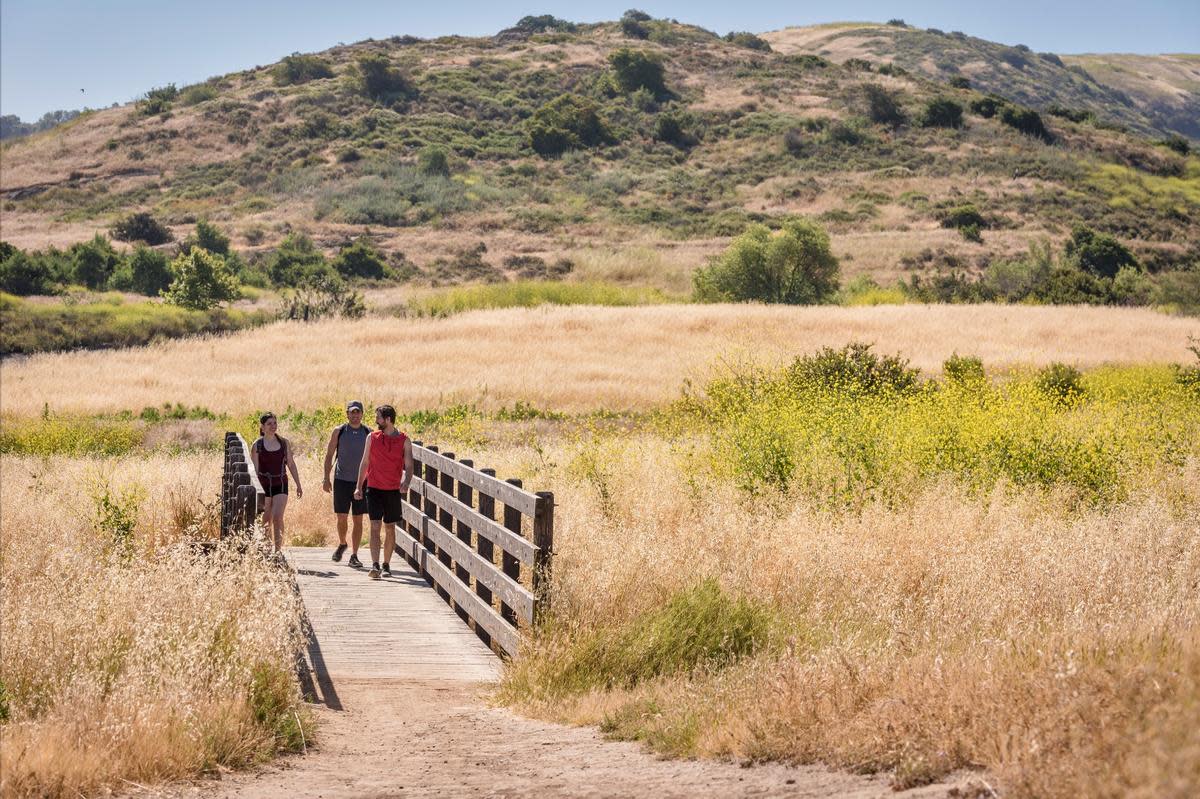Photo courtesy Destination Irvine