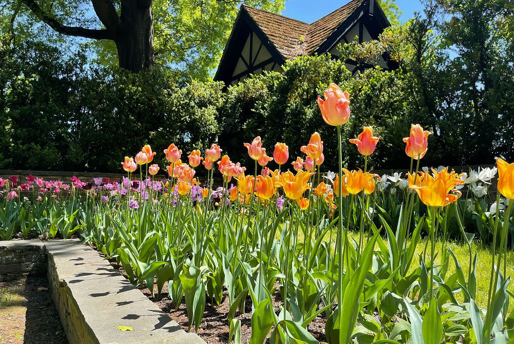 Fresh Flower Friday // Whimsical Flower Gardens - Within the Grove