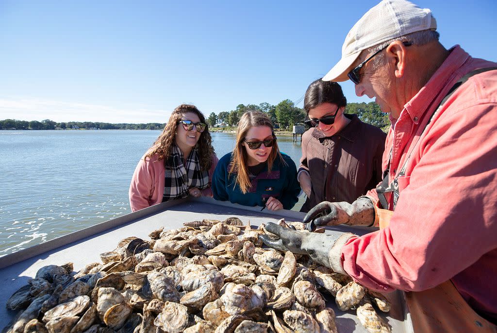 virginia beach oyster tour